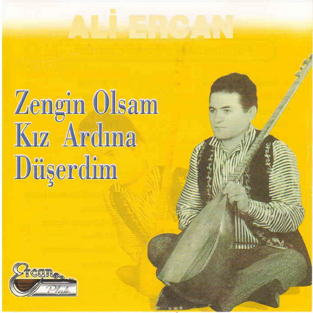 Zengin Olsam Kız Ardına Düşerdim cover art