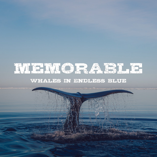 Whales in Endless Blue album image
