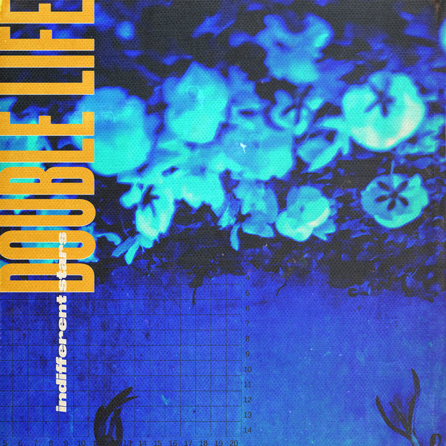 Обкладинка Double Life — Indifferent Stars