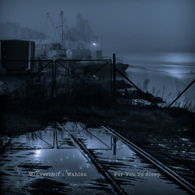 For You To Sleep cover art