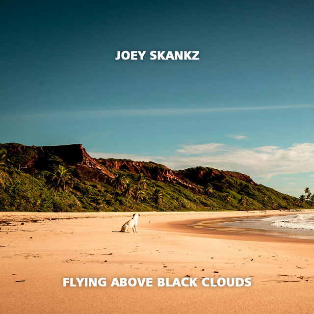 Joey Skankz