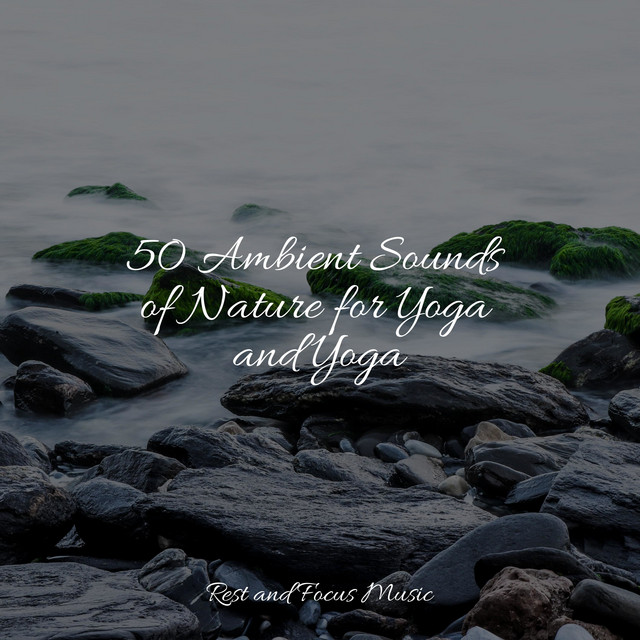 50 Ambient Sounds of Nature for Yoga and Yoga - Album by Academia de ...