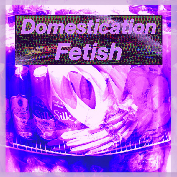 Domestication Fetish cover art