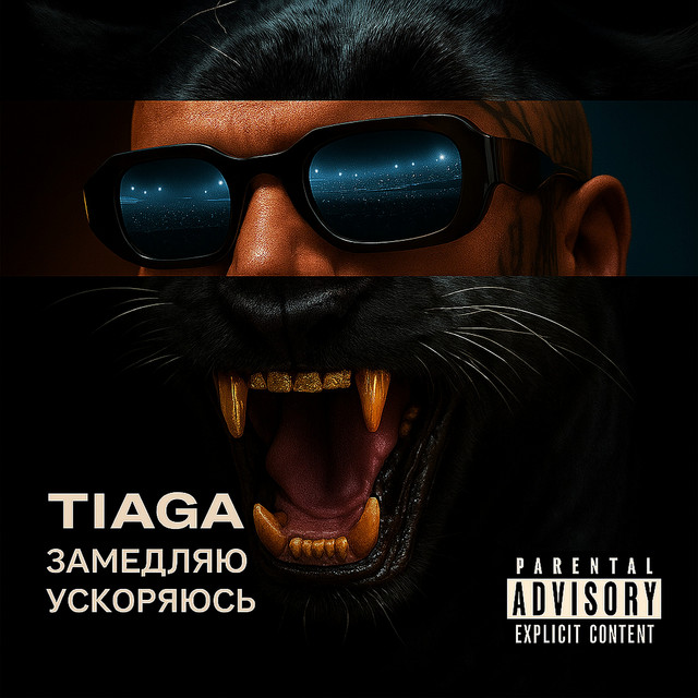 Обкладинка: Замедляю ускоряюсь — TIAGA