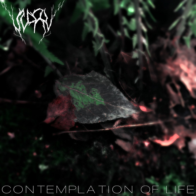 Contemplation of Life cover art