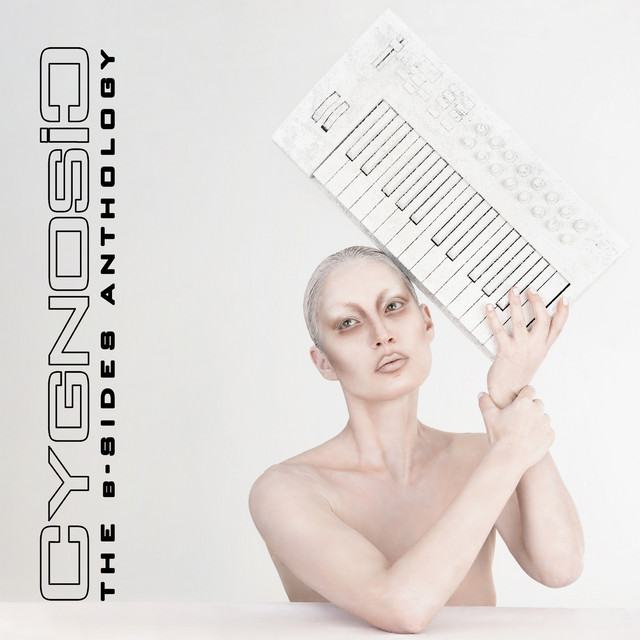 The B-Sides Anthology cover art