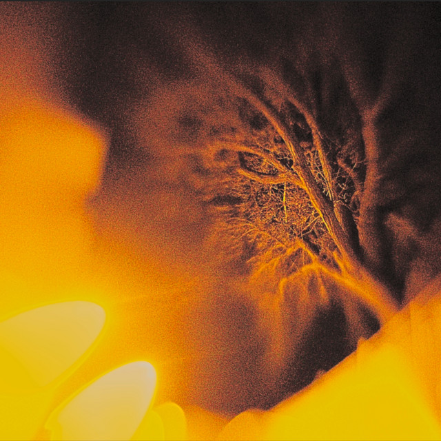 Tavęs Nebėra cover art