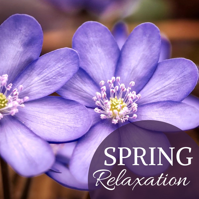 Spring Relaxation - Harp & Chirping Birds for Welcoming a New Season ...