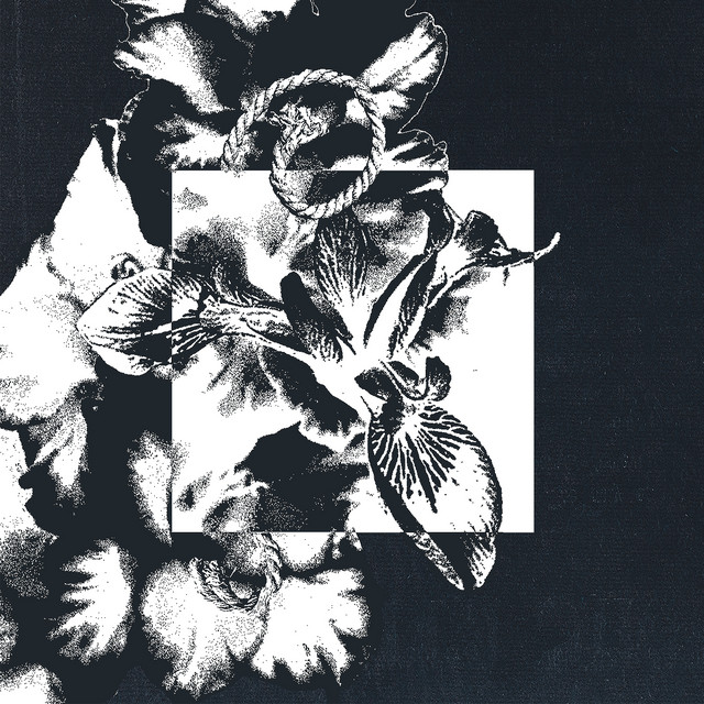 Gray Timeline cover art