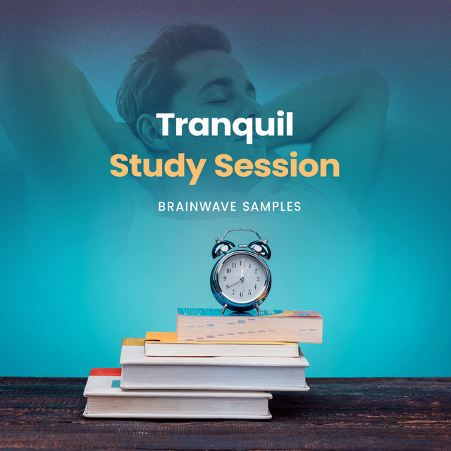 Tranquil Study Session cover art