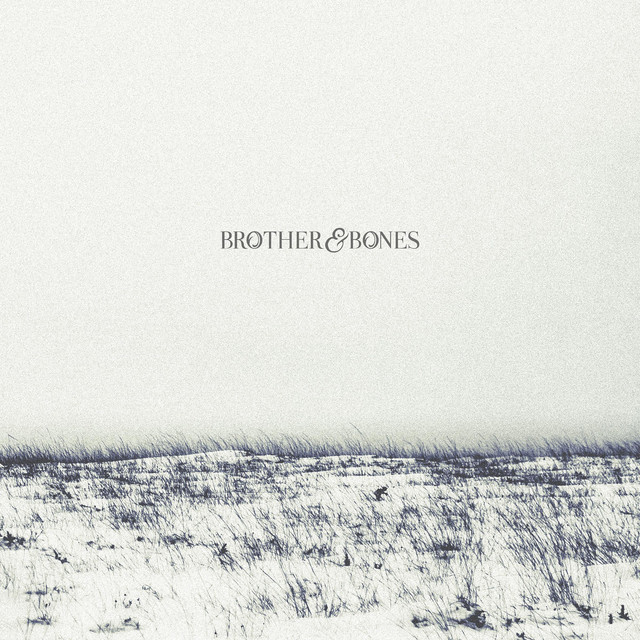 Brother & Bones cover