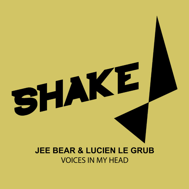 Voices In My Head cover art