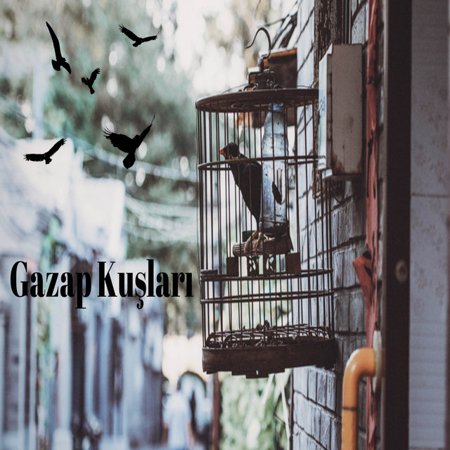 Gazap Kuşları cover art