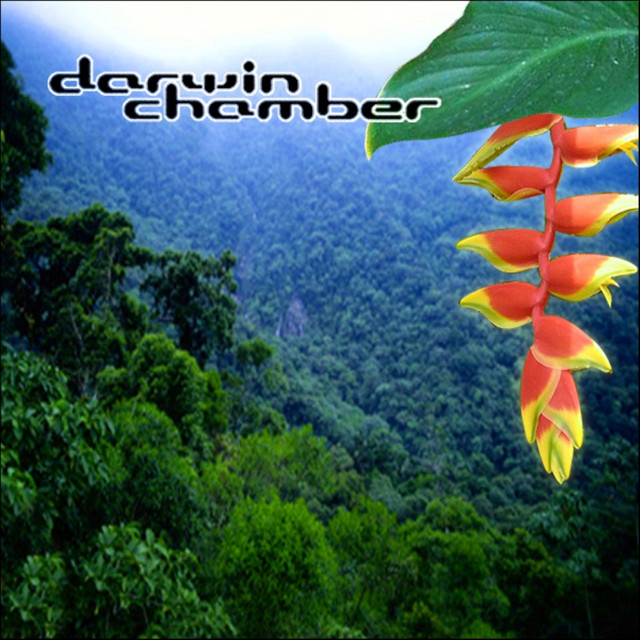 3-D Rainforest cover art