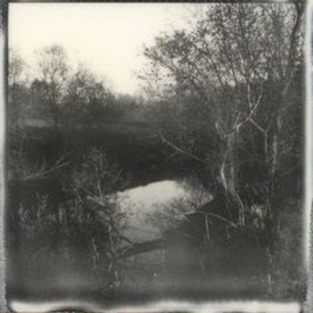 untitled 1 (demo)