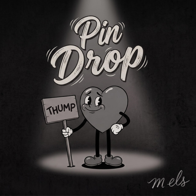 Pin Drop cover