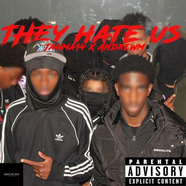 They Hate Us cover art
