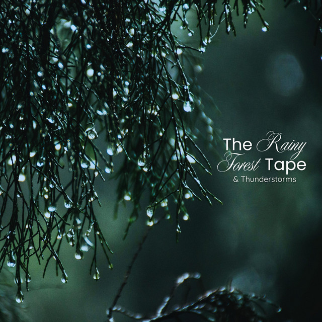 The Rainy Forest Tape & Thunderstorms cover art