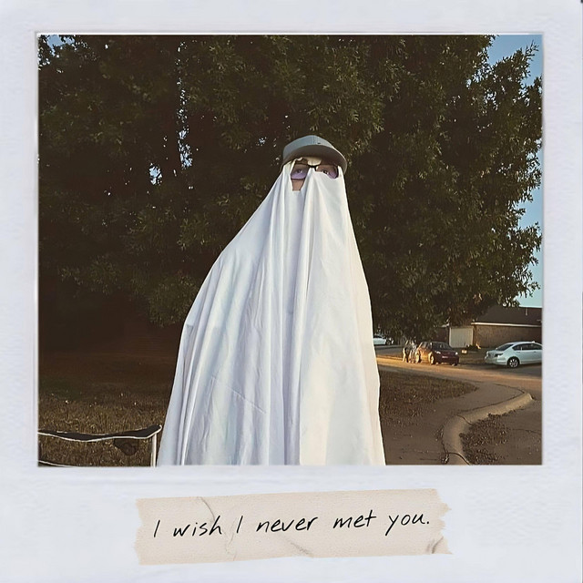 I Wish I Never Met You. cover art