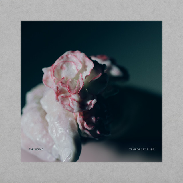 Temporary Bliss cover