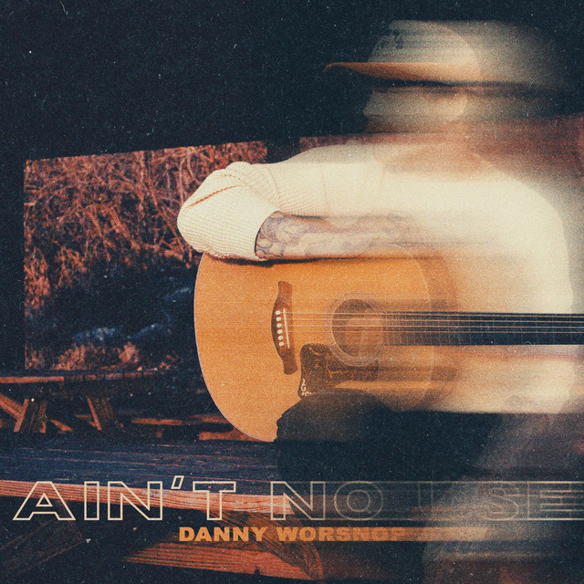 Ain't No Use by Danny Worsnop