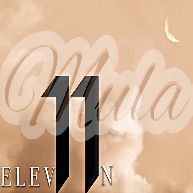Elev11n cover art