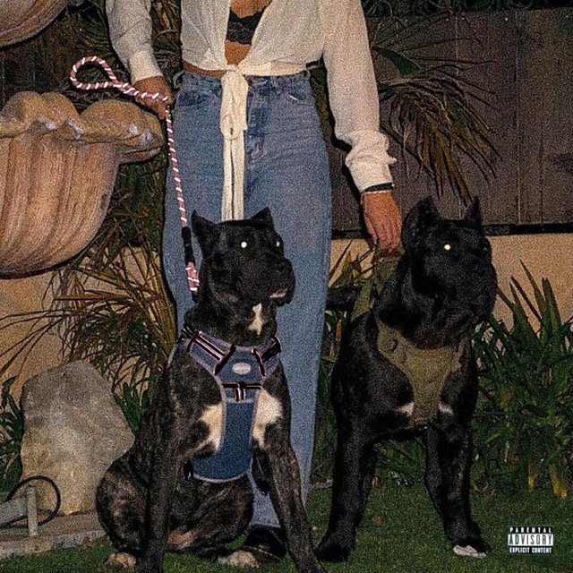 Night & Day cover art