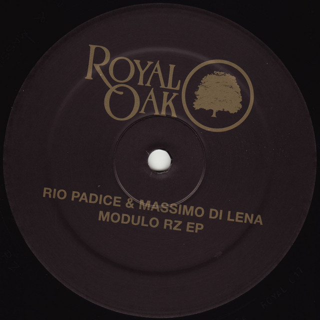 Modulo RZ cover