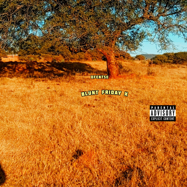 blunt friday x cover art