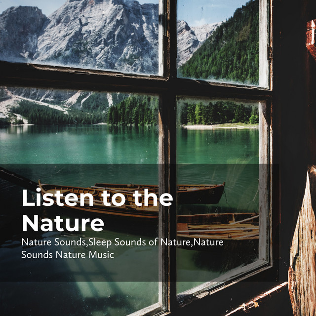 Listen to the Nature - Album by Sleep Sounds of Nature | Spotify
