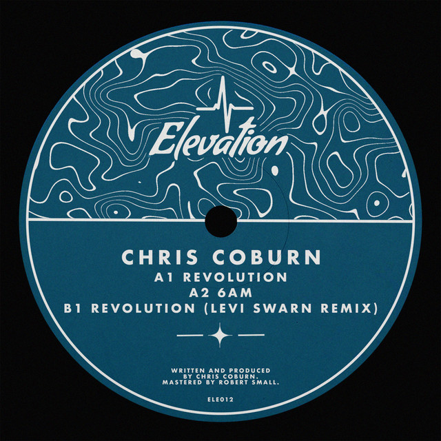 Revolution - Levi Swarn Remix album art