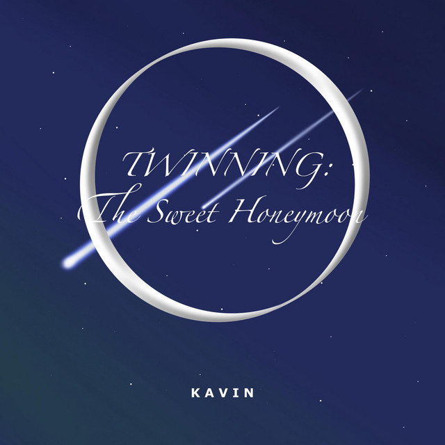 Twinning : The Sweet Honeymoon cover art