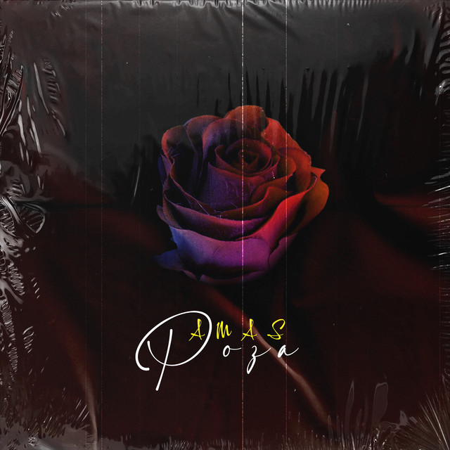 Cover art: Роза — AMAS