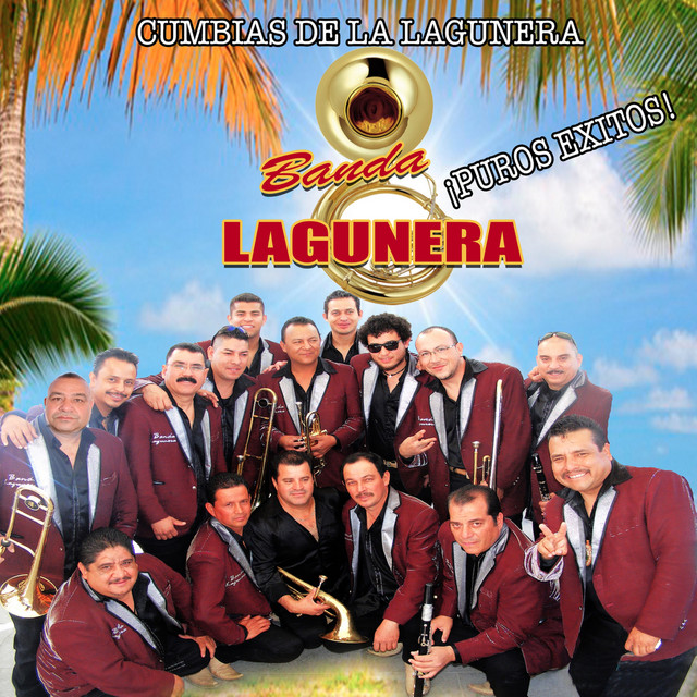 Cumbias De La Lagunera Puros Exitos cover art