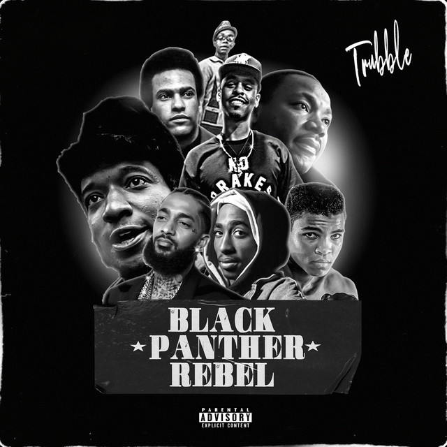 Black Panther Rebel cover art