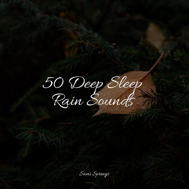 50 Deep Sleep Rain Sounds - Album by Rain Shower Spa | Spotify