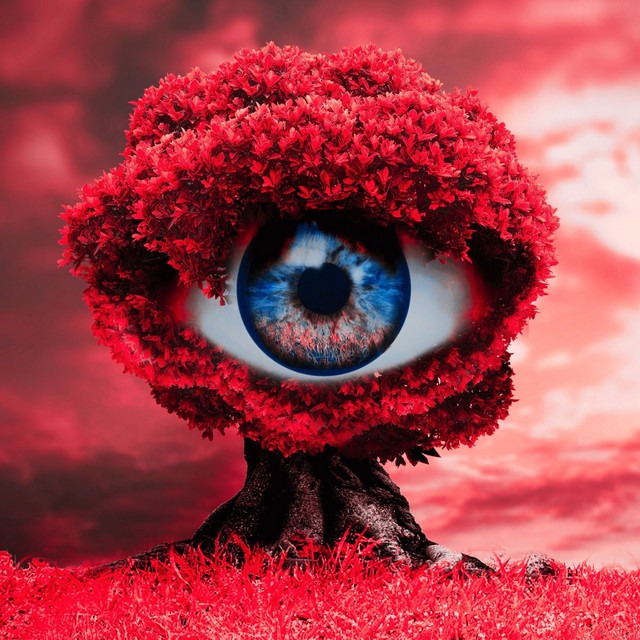 Phase cover art