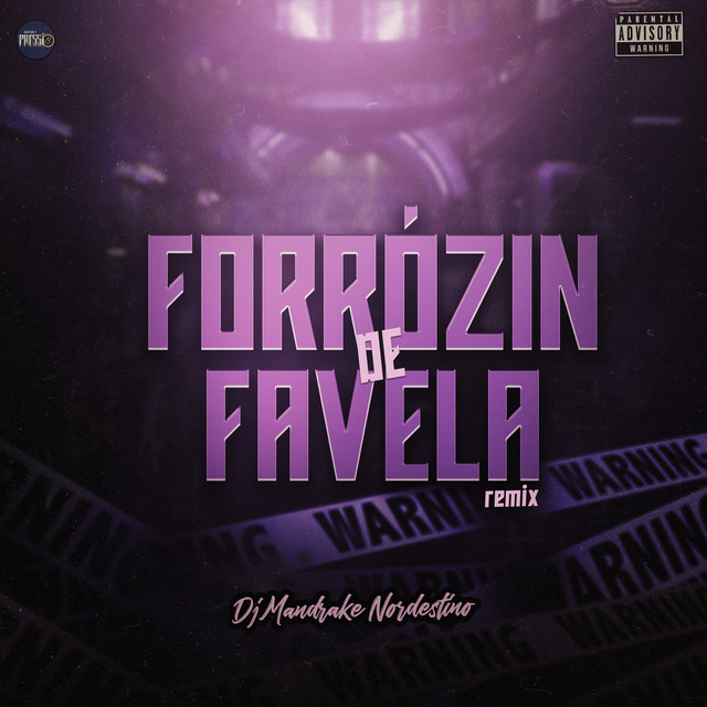 Forrózin de Favela (Remix) - Remix