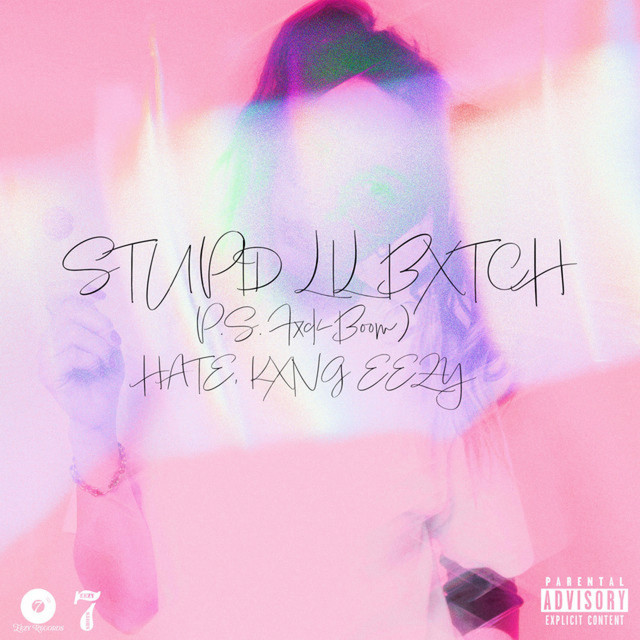 Stupid Lil Bxtch cover art