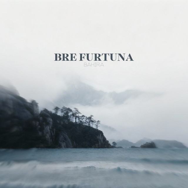 Bre Furtuna cover art