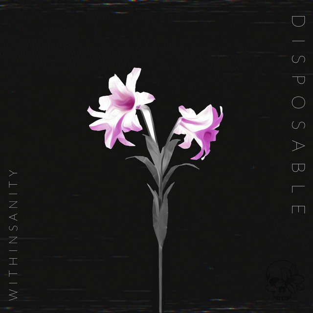 Disposable cover art