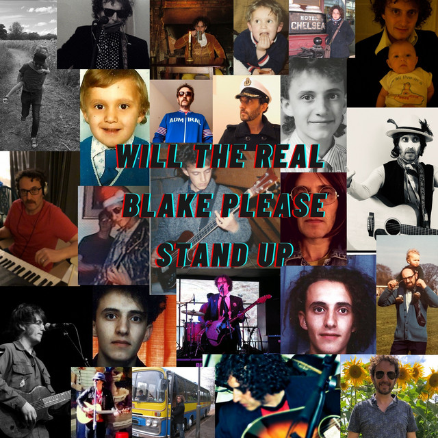Will the Real Blake Please Stand Up cover art