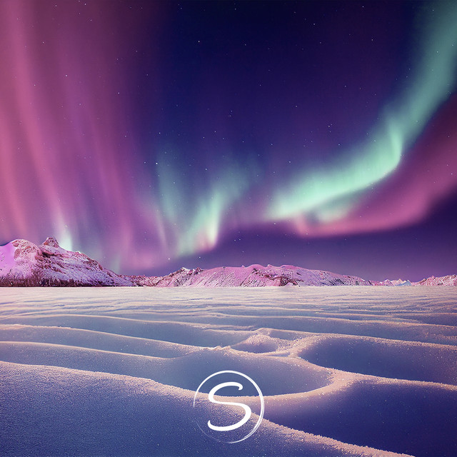 Winter's Silence cover