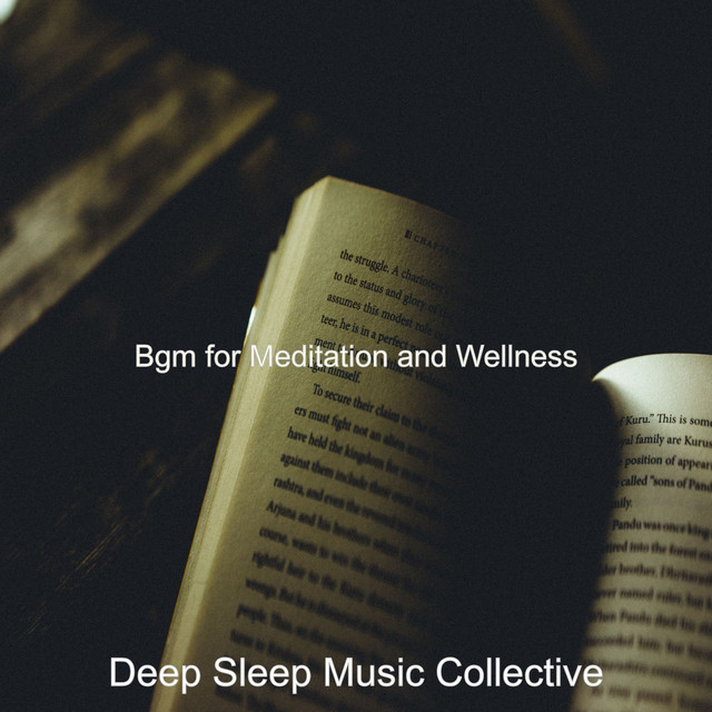 Bgm for Meditation and Wellness - Album by Deep Sleep Music Collective ...