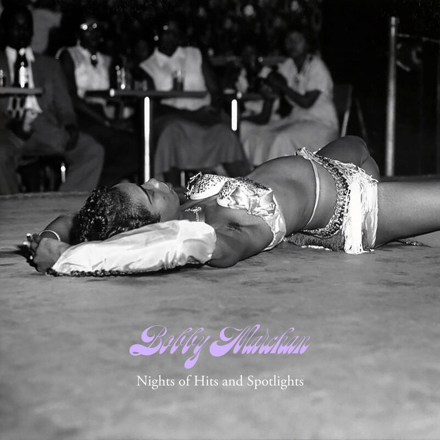 Nights of Hits and Spotlights cover art