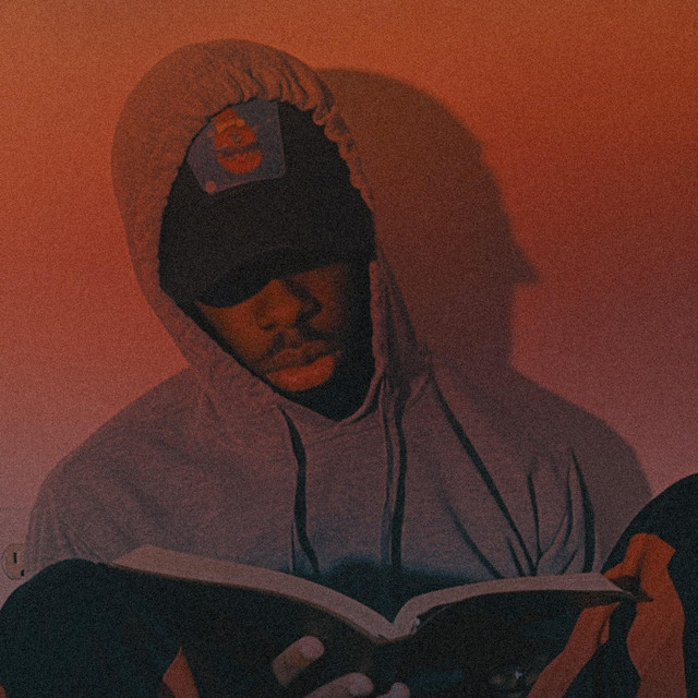 Vulnerability cover art