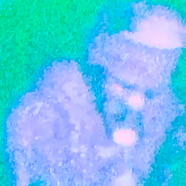 Do.Re.Mi (Speedup) cover art