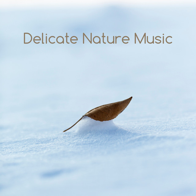 Delicate Nature Music - Album by Meditation and Relaxation | Spotify