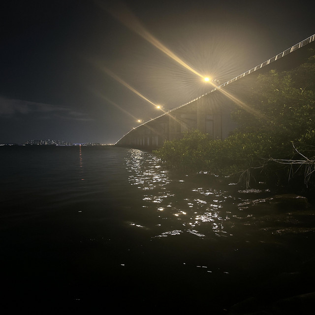 Cuartos cover art