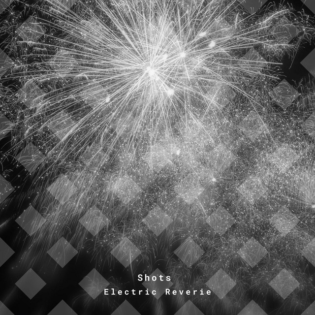 Electric Reverie | Spotify